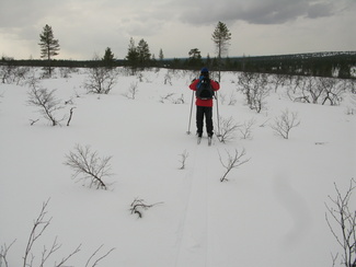 näpäyttämällä kuvaa saat sen näkymään suurempana