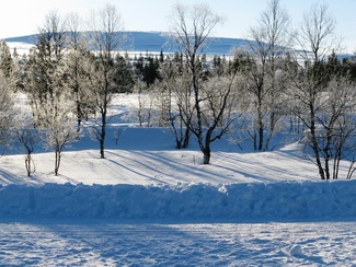 näpäytä kuvaa niin se näkyy suurempana