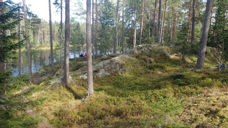 Tällä paikalla näimme iltahämärissä majavan Ladun edellisellä Isojärven retkellä.