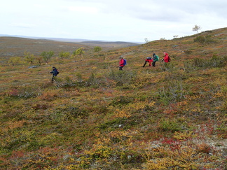 Alaspäin lähdettiin pyrkimään kohti palsasuon kumpareita.