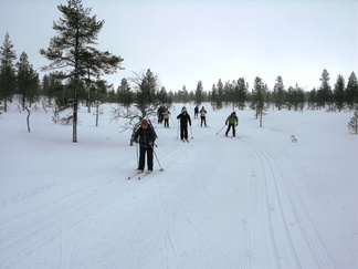 Maanantai aamu valkeni lumisateisena. Lähdimme pyhmän mukana hiihtolenkille Sivakkaojan latua pitkin.