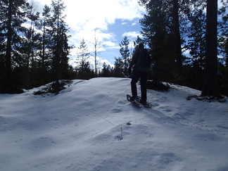 Keväiselle hangelle minä jälkeni jätän.