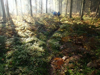 Saapuminen Usminjärven rantaan