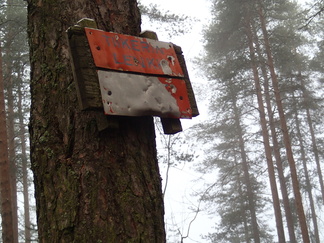 Konepajalta näyttäisi lähteneen yksi Tiikerinlenkin reiteistä jo kauan sitten.