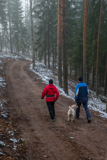 Sahanmäen takamaastossa oli tehty latupohjan kunnostustöitä.