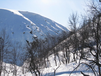 näpäyttämällä kuvaa saat sen näkymään suurempana