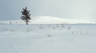 näpäyttämällä kuvaa saat sen näkymään suurempana