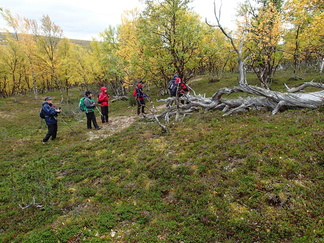 Alempaa puronvarresta löytyi eräänlainen kelojen hautausmaa.