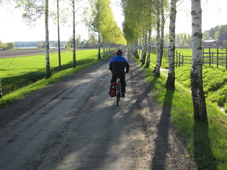 Kartanon koivukujalla