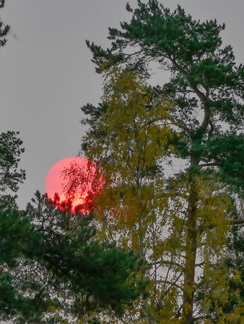 Tiistaiaamuna aurinko oli kovin punainen noustuaan horisontin yläpuolelle. Punertava väri johtui Suomen ilmakehään kulkeutuneista pienhiukkasista, jotka on peräisin Portugalin metsäpaloista. Mukana on myös Saharan aavikolta tullutta tomua.
