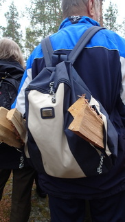 Veimme polttopuut repuissamme nuotiopaikalle.