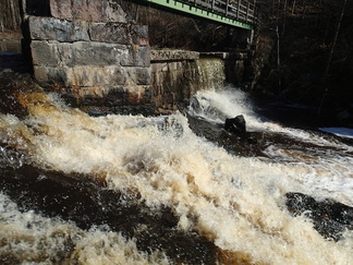Vettä kohteessa oli kohtalaisesti, mutta muistikuvat kertoivat, että joskus kevätvedet ovat yltäneet jopa patoaltaan reunan ylikin.