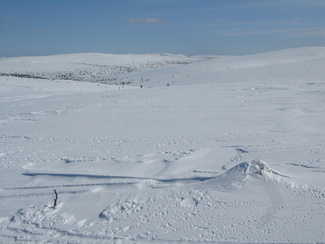 näpäyttämällä kuvaa saat sen näkymään suurempana