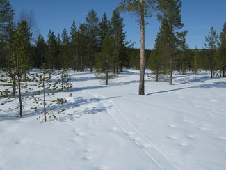 näpäyttämällä kuvaa saat sen näkymään suurempana