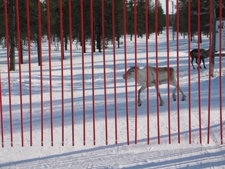 näpäyttämällä kuvaa saat sen näkymään suurempana