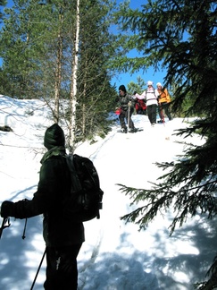 Jos sulla oisi sukset vain...