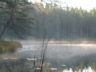 Eteläinen Kaksoislampi.