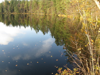 ...Urojärveä