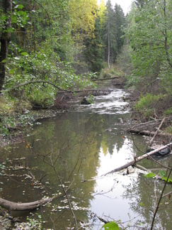 Ridasjärven suunnalta alkava Keravanjoki virtailee Lemmenlaakson kanjonin halki.