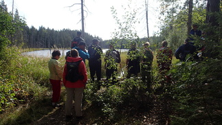Tämä allas oli syntynyt majavien rakennelmien seurauksena.