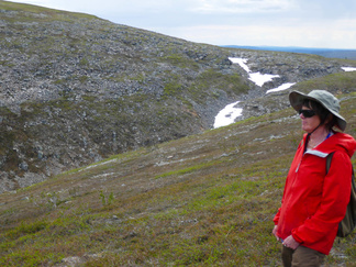 Kuutamakurun takana on Raututunturi