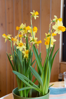 Kiitos kaikille mukanaolleille! Retkemme oli taas kerran oikein onnistunut!