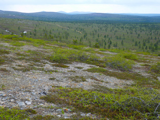 Tiistaina oli mahdollisuus osallistua talon järjestämälle patiikkaretkelle tai lähteä kiertämään yhdessä Killopää tunturia. Nousimme aluksi Niilanpään suuntaan kohoaville rinteille. Kuvan näkymä etelän suuntaan, Nattasille.