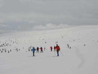 näpäyttämällä kuvaa saat sen näkymään suurempana