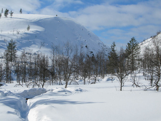 Rumahan se kuru on! Vai onko?