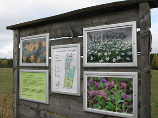 Lemmenlaakson opastaulu kertoi alueen kasveista ja linnuista.
