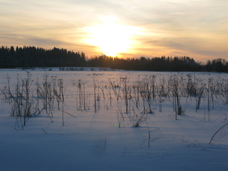 Tapaninpäivänä päivä on jo kukonaskelen pisempi, vai lieneekö tuo?