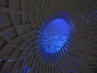 Ollan sotkan munan sisällä...