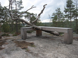 Sovellus teemasta puu ja penkki. Kumpi lie ollut kummankin tiellä?