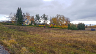 Jo vain Palstojentiellä mennään