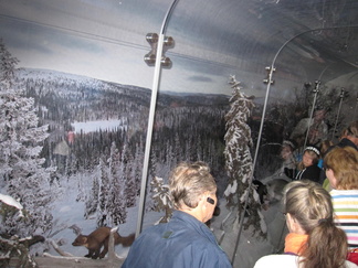 Päänäyttelysaliin johtaa käytävä, jonka yheydessä on talvista luonnon elämänmenoa kuvaava esitys.