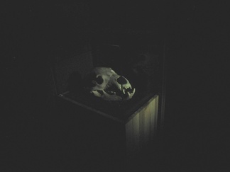 Öisessä metsässä kuuluu monenlaisia ääniä. Entisajan karhunkaato lienee ollut jännittävää puuhaa. Jos karhu saatiin kaadettua, sen kallo ripustettiin erityisen petäjän oksille, jotta otson henki olisi lähempänä taivaankantta. Pimeän huoneen nurkassa oli karhun kallo.