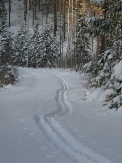 Kypärälammelle johtaa mutkainen latu!