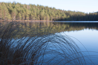 Iso-Kypärälammella