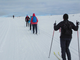 Hiihtämäänhän Kiilopäälle oli tultu ja hiihtoretkeily jatkui torstainakin. Tässä mennään Ahopäätä ja edelleen Rumakurua kohden auringon paisteessa.