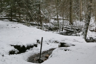 Suunnistimme ensin Sveitsinpuiston lähteelle