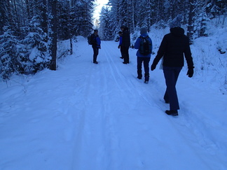 Sunnuntain luomulatu loppui tähän.