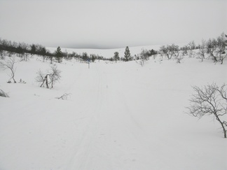 Latu Kiilopäältä Rautulammille ja Rautulammilta Luulammelle on kapea. Latu on avattu moottorikelkan vetämällä latuhöylällä. Tämä kuva on Rautuvankasta Rautulammin ja Luulammin väliltä,