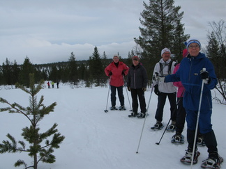 Illalla lähdimme vielä kahdesan aikaan lumikenkäretkelle Ahopäälle.