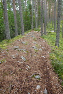 Puiston upeimpiin nähtävyyksiin kuuluu ehdottomasti Joutsnieni, vajaan kahden kilometrin pituinen kapea harjuniemi