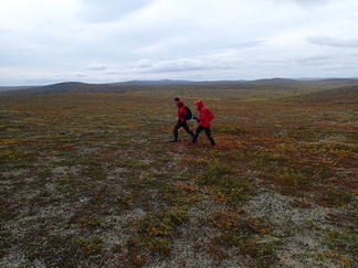 Kun kivikoista oli päästy, kasvoi askelkin tuttuun pituuteensa.