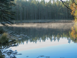 Etelänpuoleinen Kaksoslammista