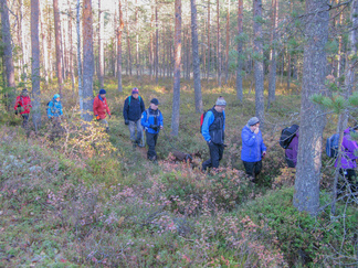 Matkalla Pikku-Karhulammelle