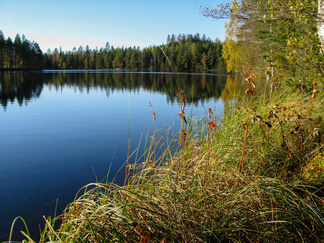 Urolammen rannalla pidimme evästaukoa
