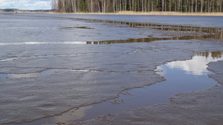 Sam ja Hilkka intoutuivatkin melkoiseen ilotteluun.