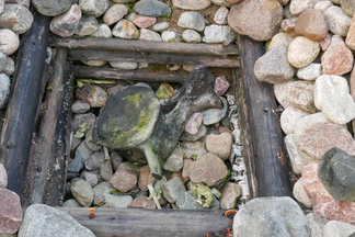 Mahtoiko Yoldianmeressä uiskennella valaita? Näyttäisi valaan selkänikamalta!